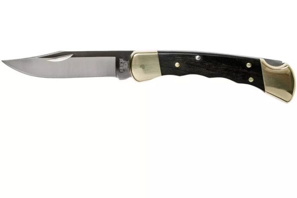 Buck 110 Folding Hunter