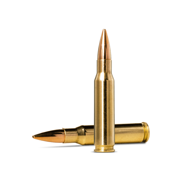 Norma Golden Target 308 Win. 10,0g / 155gr