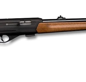 Cz 512 22lr
