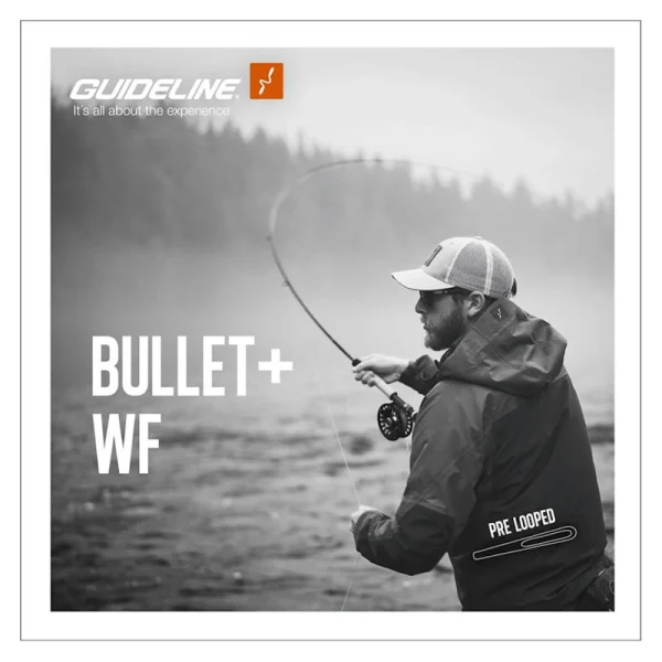 Guideline Bullet+ WF - Bild 2
