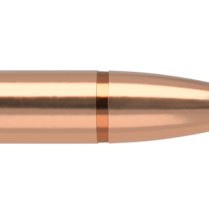 Nosler Expansion Tip .30 (308) 10,9g 168gr