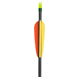 Carbon Arrow 6-Pack