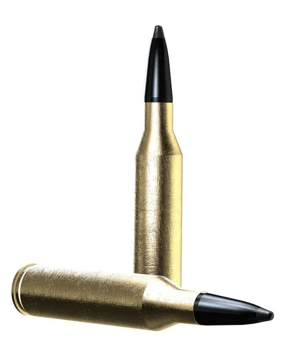 Norma Odin 308 Win. 9,7/150gr - Bild 2