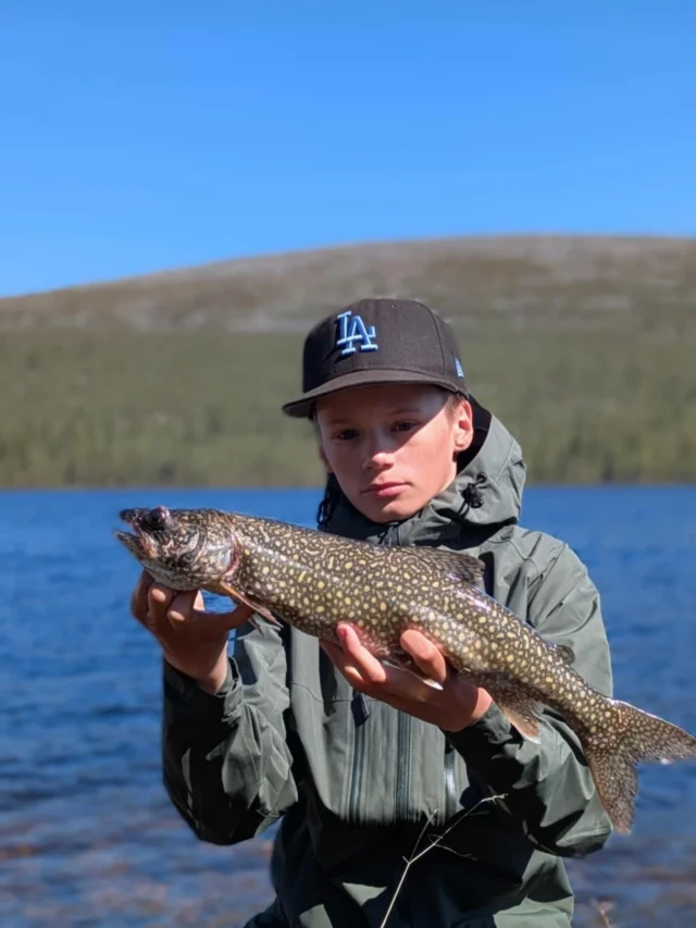 Bidragen till VildmarksHugget för Juli fortsätter att komma in, jättekul att flera vill vara med och tävla. Var med och tävla du också! Ett kvitto från oss och en fångstbild är allt som krävs för att vara med 🐟
#vildmarkshörnan #vildmarkshugget